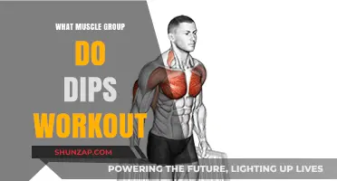 Dips Workout: Targeting Chest, Triceps, and Shoulder Muscles Effectively