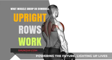Dumbbell Upright Rows: Targeted Muscle Groups and Benefits Explained