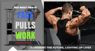 Face Pulls: Targeting Rear Delts, Upper Back, and Rotator Cuffs
