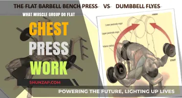 Flat Chest Press: Targeted Muscle Groups and Benefits Explained