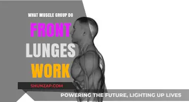 Front Lunges: Targeting Quads, Glutes, and Core Muscles Effectively