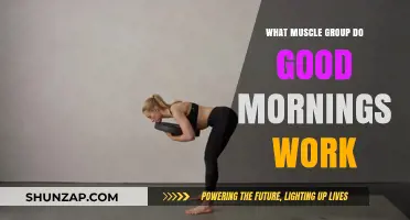 Good Mornings: Targeting Your Posterior Chain Muscles Effectively