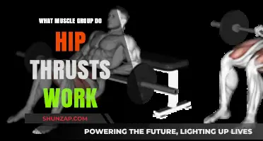 Hip Thrusts: Targeting Glutes, Hamstrings, and Core Muscles Effectively