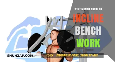 Incline Bench Press: Targeting Upper Chest, Shoulders, and Triceps Effectively