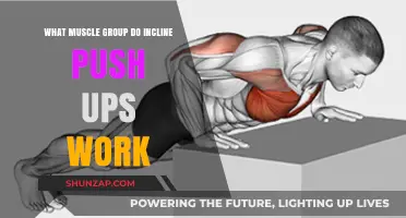 Incline Push-Ups: Targeted Muscle Groups and Benefits Explained