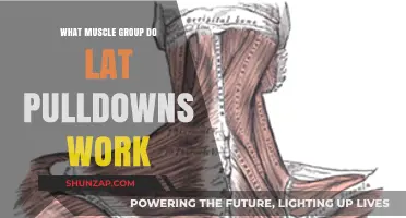 Lat Pulldowns: Targeting Back, Arms, and Shoulder Muscles Effectively