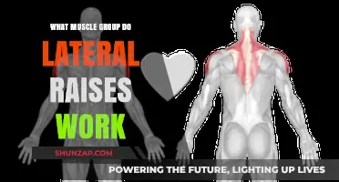 Lateral Raises: Targeting Shoulder Muscles for Strength and Definition