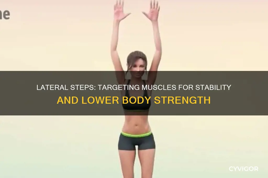 what muscle group do lateral steps work