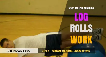 Log Rolls: Targeting Core, Obliques, and Back Muscles Effectively