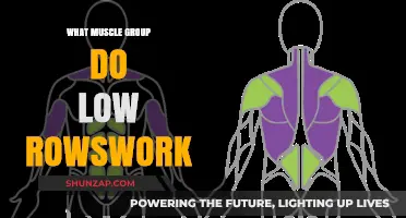 Low Rows: Targeting Back, Shoulders, and Arm Muscles Effectively