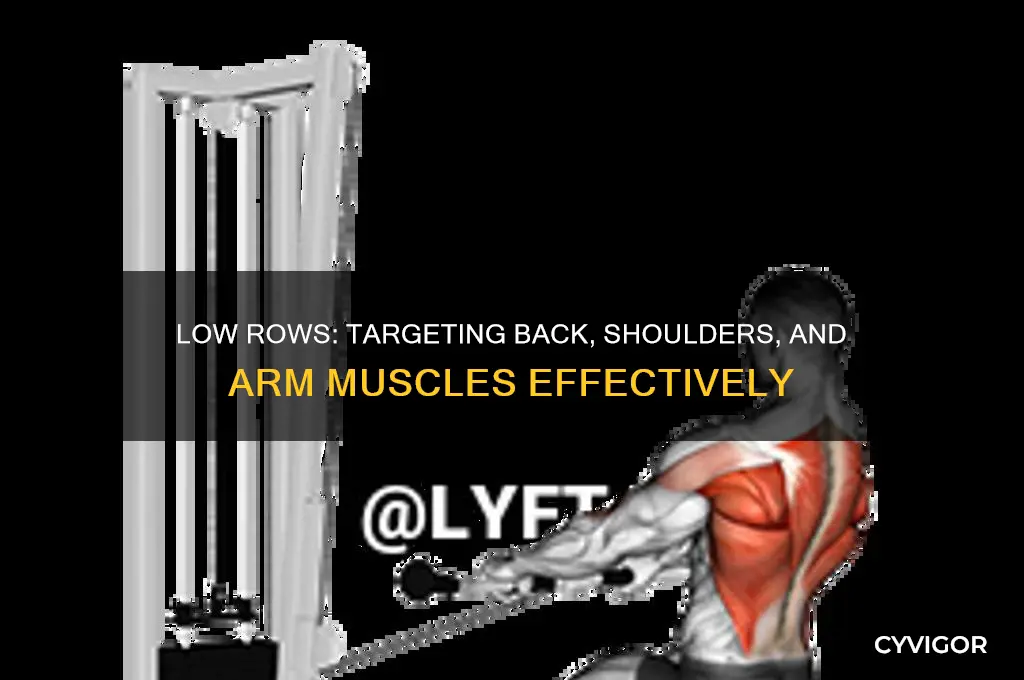 what muscle group do low rowswork