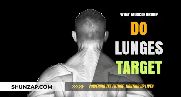 Lunges: Unlocking Lower Body Strength and Muscle Engagement