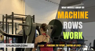 Machine Rows Target: Which Muscle Groups Do They Strengthen?