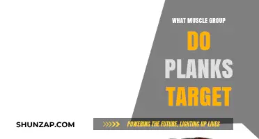 Planks: Core, Shoulders, Quads, and Glutes Muscle Group Targeted