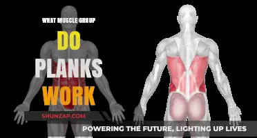 Plank Power: Unlocking Core, Shoulders, Quads, and Glute Strength