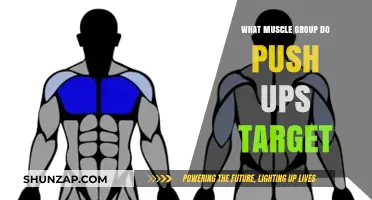 Push-Ups: Unlocking the Key Muscle Groups for Strength and Tone