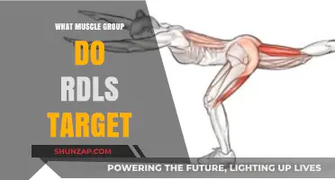 RDLs Unveiled: Targeted Muscle Groups for Strength and Stability