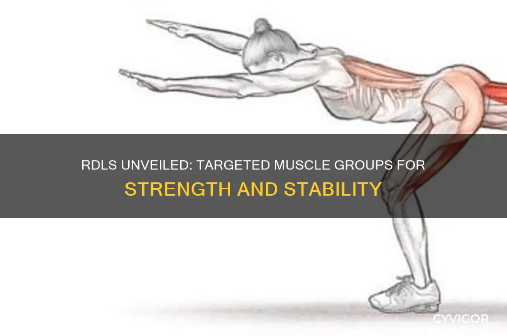 what muscle group do rdls target