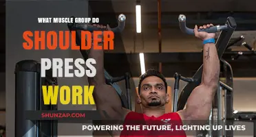 Shoulder Press Muscles: Targeted Groups and Effective Workout Benefits