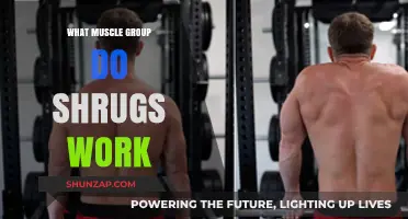 Shrugs: Targeting Traps and Upper Back Muscles for Strength