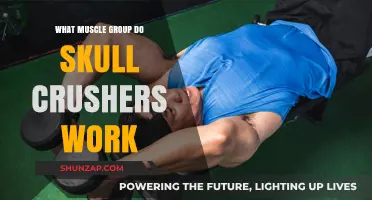Skull Crushers: Targeting Triceps and Building Upper Arm Strength