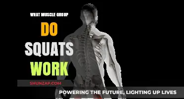 Squats: Targeting Quads, Glutes, Hamstrings, and Core Muscles Effectively