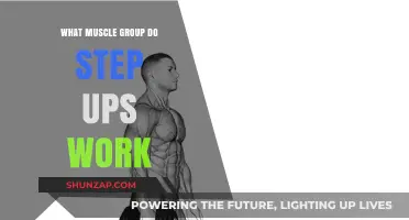 Step Ups: Targeting Muscle Groups for Strength and Stability