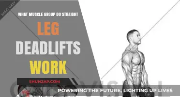 Straight Leg Deadlifts: Targeting Hamstrings, Glutes, and Lower Back Muscles