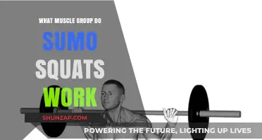 Sumo Squats: Targeting Inner Thighs, Glutes, and Core Muscles