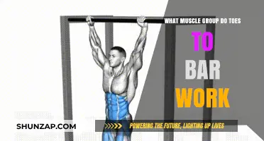 Toes to Bar: Targeting Core, Upper Body, and Grip Muscles