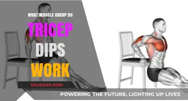 Tricep Dips: Targeted Muscle Groups and Effective Workout Benefits