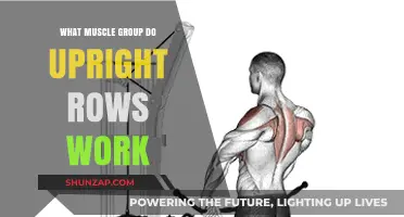 Upright Rows: Targeted Muscle Groups and Effective Workout Benefits