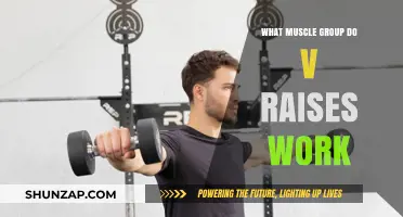 V-Raises: Targeting Rear Deltoids, Upper Back, and Shoulder Stability