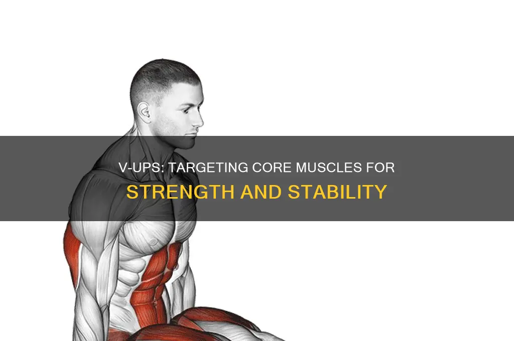 what muscle group do v ups work