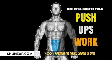 Walkout Push-Ups: Targeted Muscle Groups and Benefits Explained