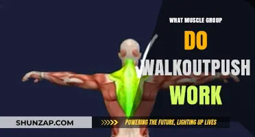 Walkout Pushups: Targeted Muscle Groups and Fitness Benefits Explained