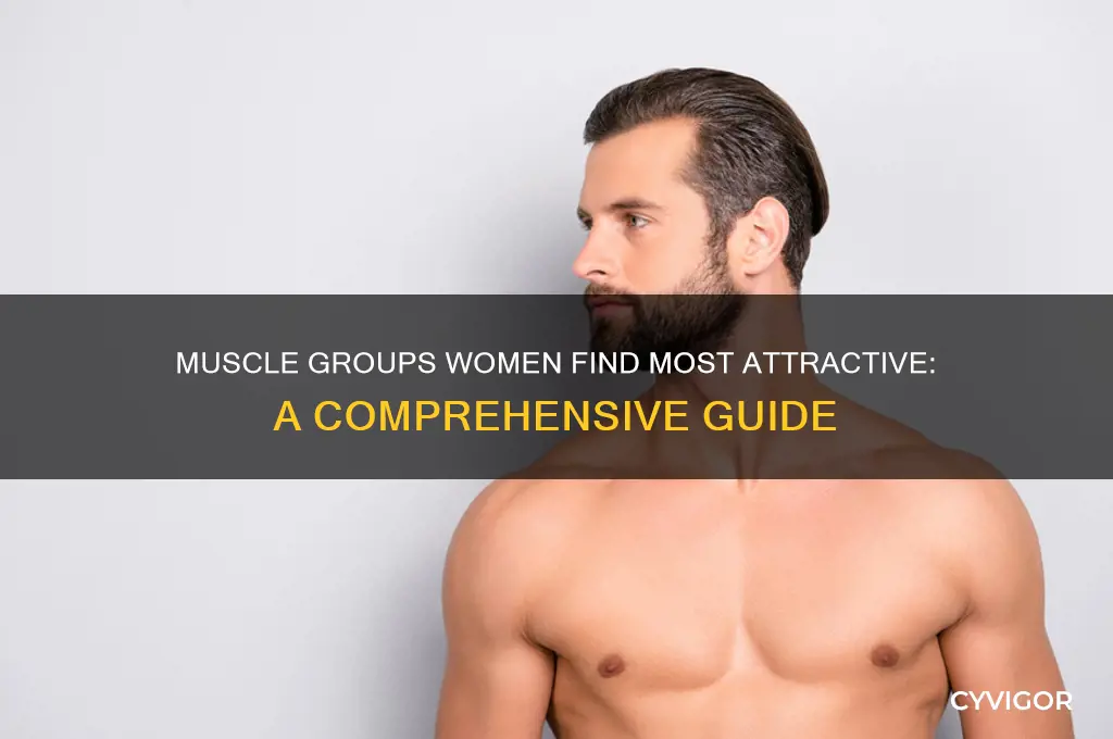what muscle group do women find most attractive