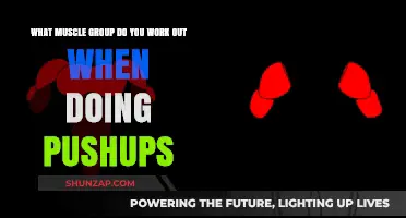 Pushups: Targeting Chest, Shoulders, Triceps, and Core Muscles Effectively