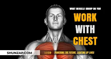 Chest Workouts: Targeting Muscles Beyond the Pecs for a Stronger Upper Body