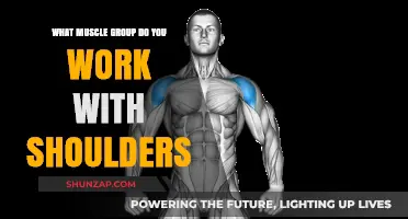 Shoulder Workouts: Targeting Muscle Groups for Strength and Definition