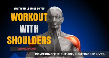 Shoulder Workouts: Targeted Muscle Groups for Strength and Definition