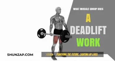 Deadlift Muscles: Unlocking Full-Body Strength and Power Potential