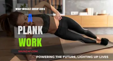 Plank Power: Unlocking Core, Shoulders, Quads, and Glute Strength