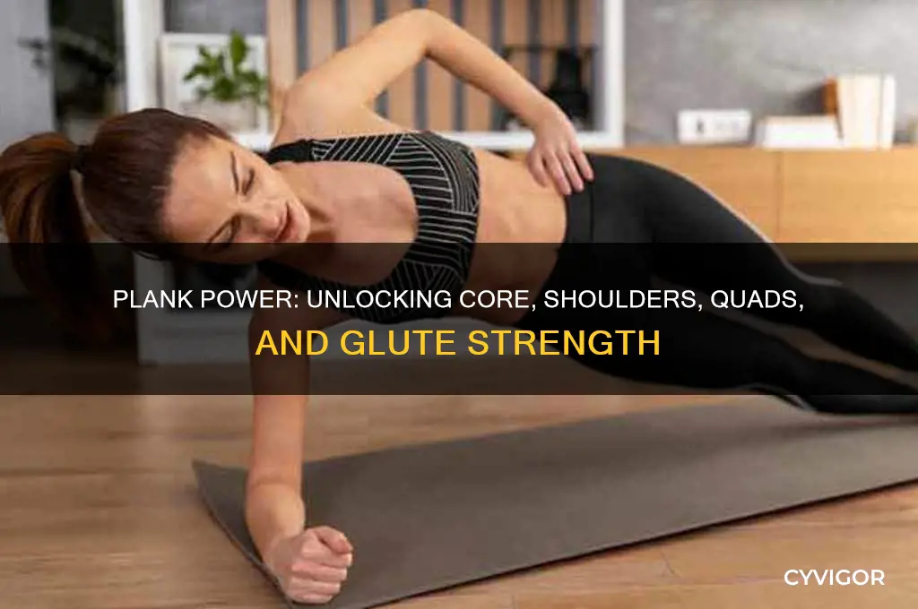 what muscle group does a plank work