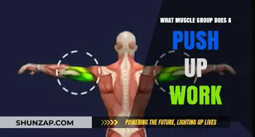 Push-Up Power: Targeting Chest, Shoulders, Triceps, and Core Muscles