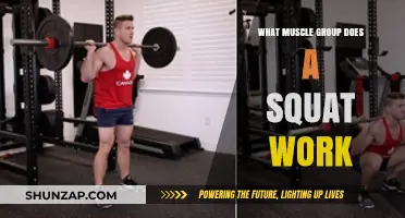 Squat Benefits: Targeted Muscle Groups and Full-Body Strength Training