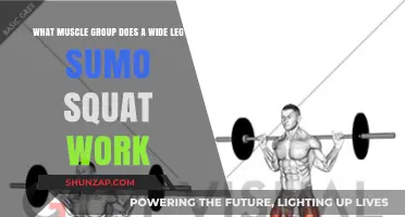 Wide Leg Sumo Squat: Targeted Muscle Groups Explained