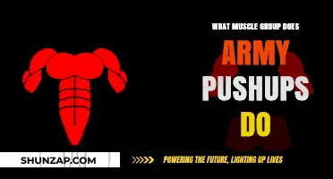 Army Pushups: Targeted Muscle Groups and Effective Training Benefits