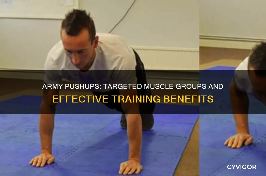 what muscle group does army pushups do