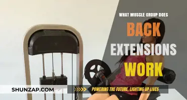 Back Extensions: Targeting Lower Back, Glutes, and Core Muscles Effectively